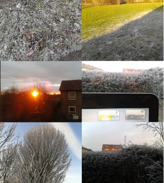 Frost collage
